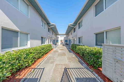 A long, narrow courtyard between two rows of identical houses.