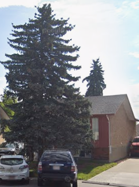 10207 171A Avenue Northwest 3 Beds Apartment for Rent