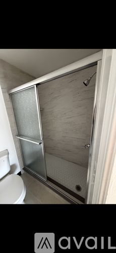 A bathroom with a toilet and a walk-in shower.