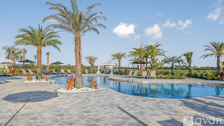 A pool surrounded by palm trees and a clear blue sky.