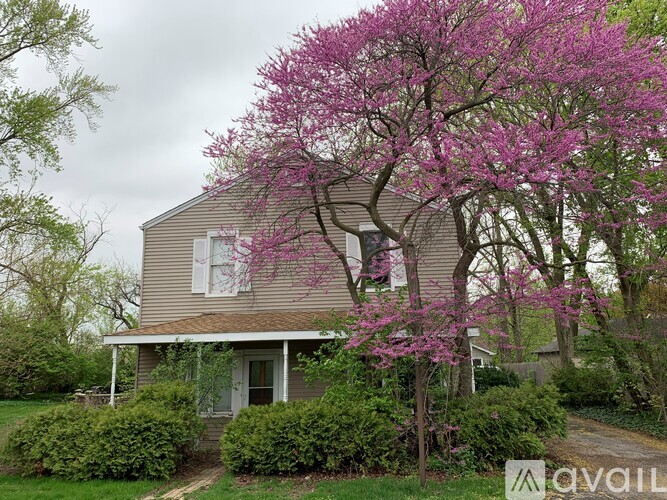 A house with a tree in front of it.