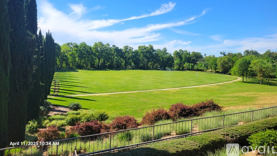 A large, open grassy field with a fence running along the top.