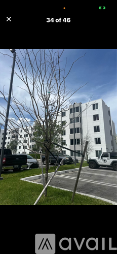 A tree in front of a white building with a black car parked in front of it.