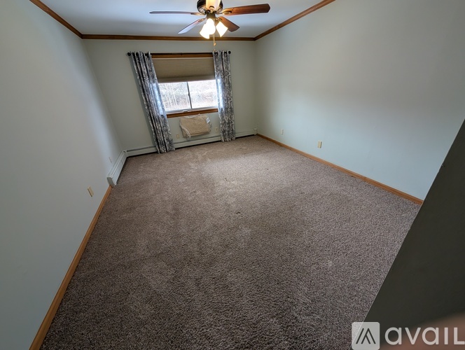 A room with a carpeted floor and a ceiling fan.