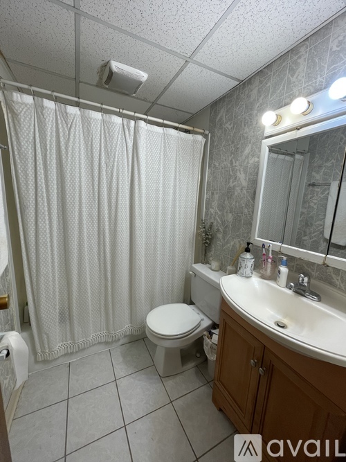 A bathroom with a toilet, sink, and shower curtain.