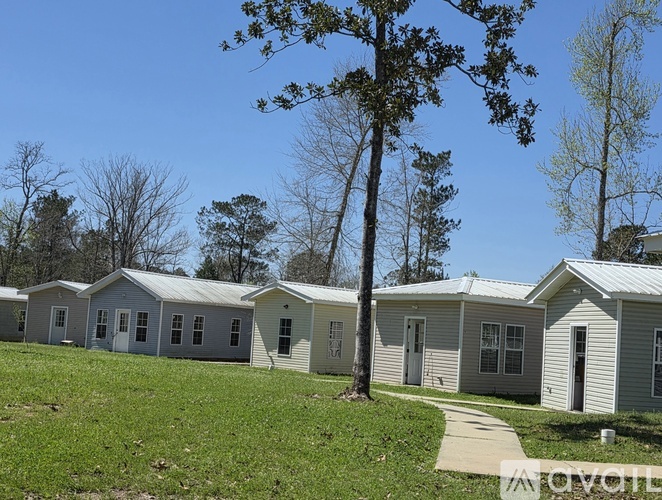 A row of houses with a tree in front of them.