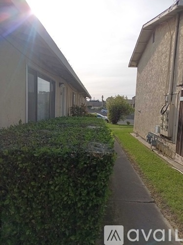 A sunny day in a quiet residential area with houses on either side of a narrow sidewalk.