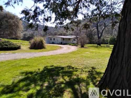 A house is situated in a grassy area with trees around it.