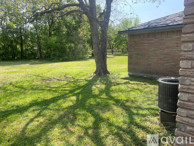A tree stands in a yard next to a brick building.