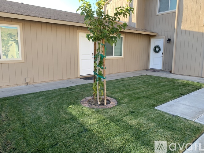 A tree in a small garden in front of a house.