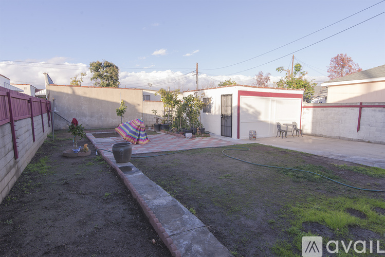 A backyard with a hose and a wall.