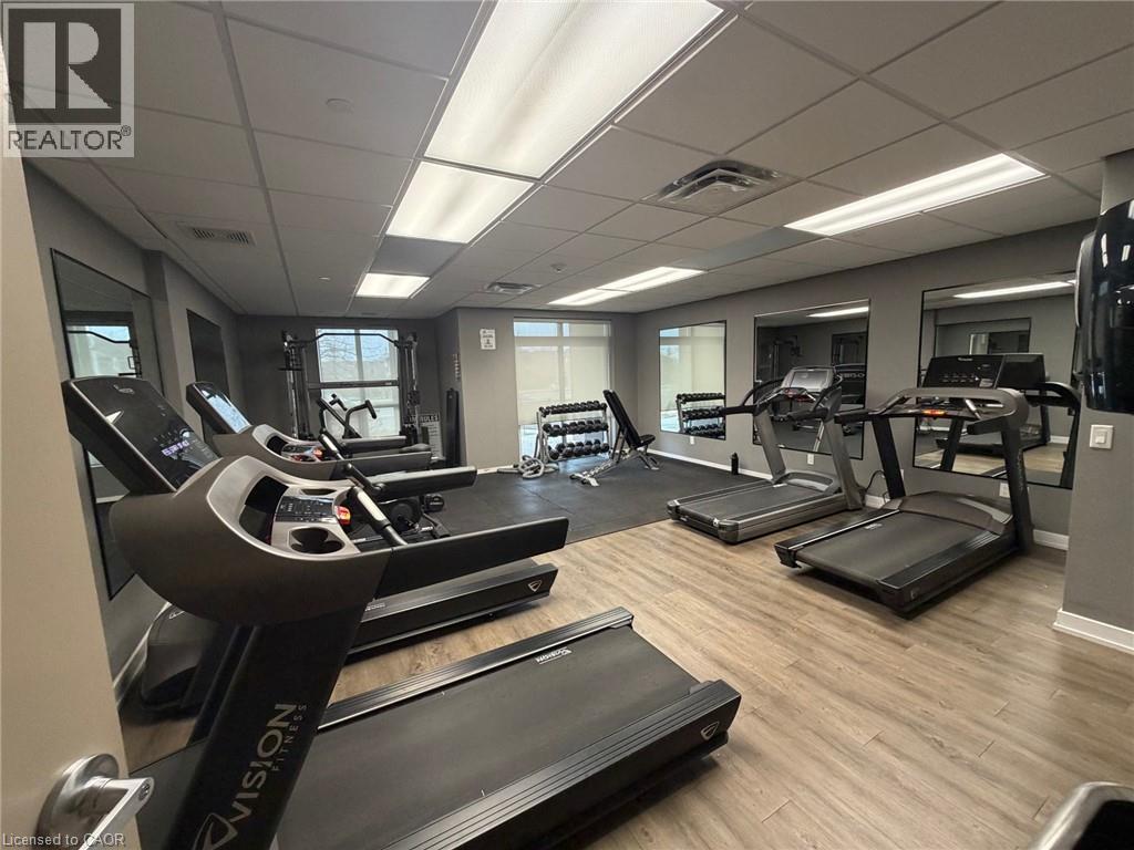 A gym with treadmills and elliptical machines.