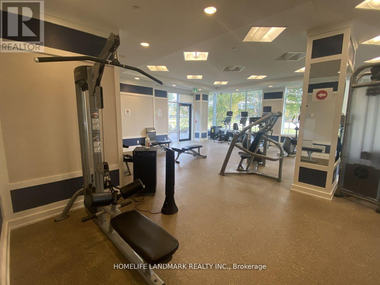 A gym with a variety of equipment including a treadmill, weights, and a bench press.