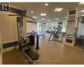 A gym with a variety of equipment including a treadmill, weights, and a bench press.