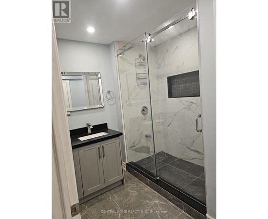 A bathroom with a walk in shower and a sink.