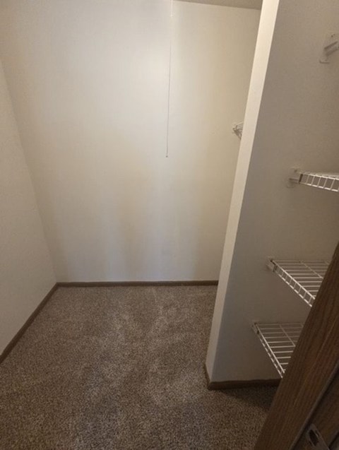 A white closet with a carpeted floor and a shelf on the right side.