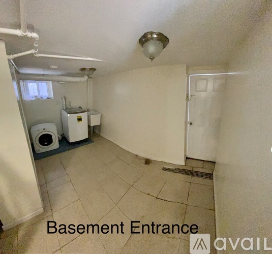 A basement entrance with a white door and a light fixture on the ceiling.