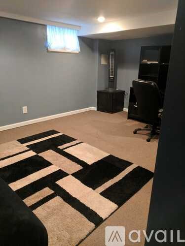 A room with a black and white rug and a speaker.