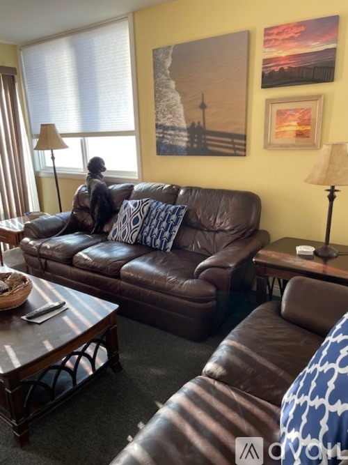 A living room with a brown leather couch and a wooden coffee table.