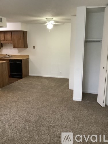 A carpeted room with a kitchen area and a door.