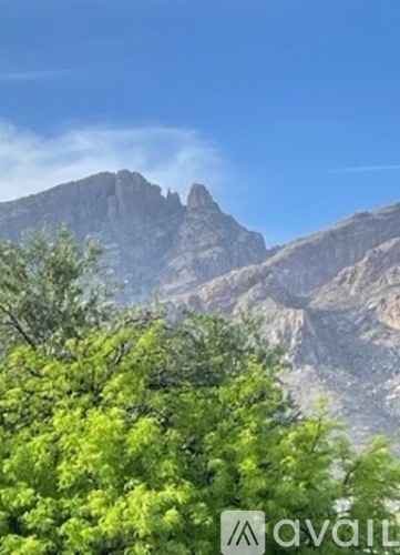 A mountain range with green trees in the foreground.