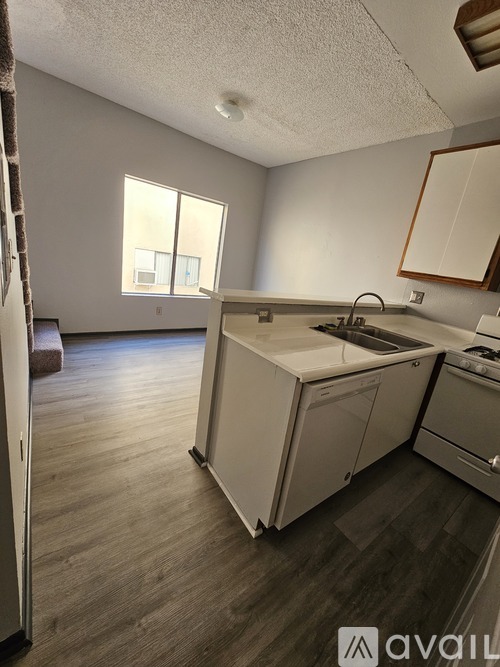A kitchen with a dishwasher and a washing machine.