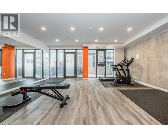 A gym with a treadmill, elliptical trainer and a bench press.