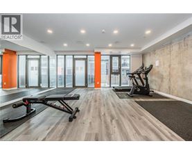 A gym with a treadmill, elliptical trainer and a bench press.