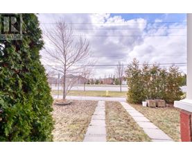 A realtor photo of a tree-lined suburban street.