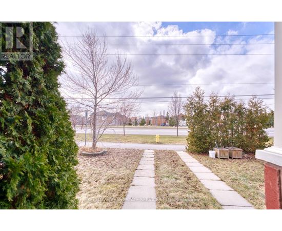 A realtor photo of a tree-lined suburban street.