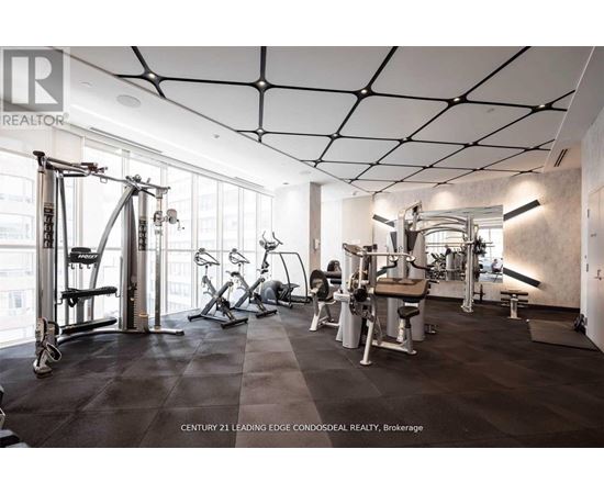 A gym with a variety of equipment including a treadmill, weights and a bench press.