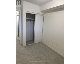 A bedroom with a white closet and carpeted floor.