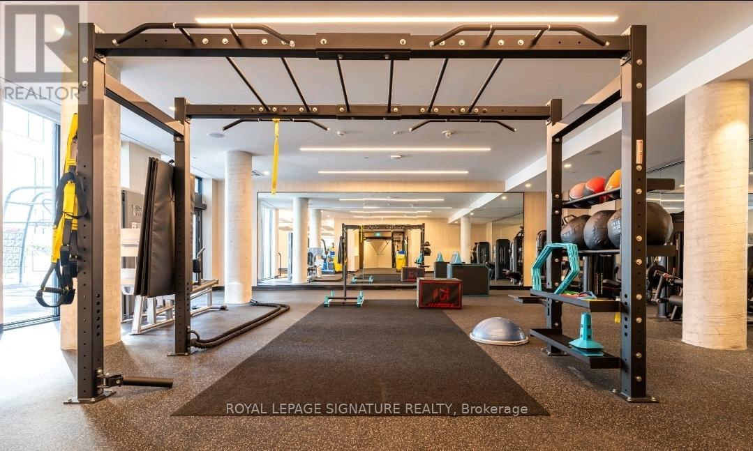A gym with a variety of equipment including a squat rack, bench, and weights.