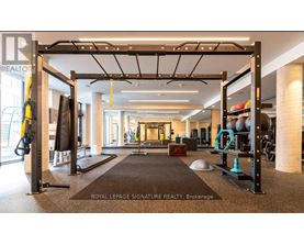 A gym with a variety of equipment including a squat rack, bench, and weights.