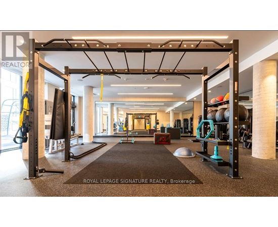 A gym with a variety of equipment including a squat rack, bench, and weights.