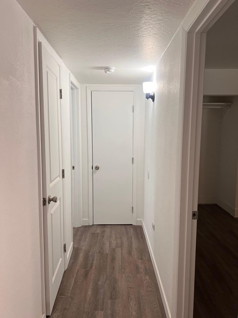 A hallway with a white door and brown flooring.