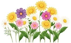 A cluster of yellow and purple flowers with green leaves.