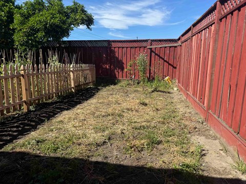 A backyard with a red fence and a brown wooden fence.