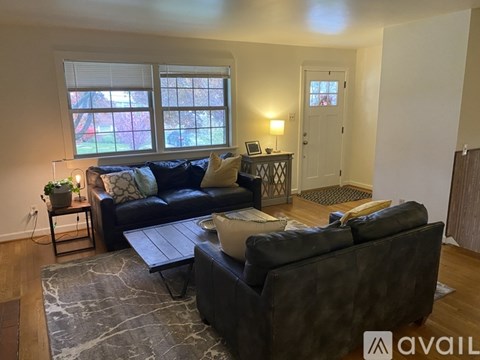 A living room with a black couch and a grey rug.