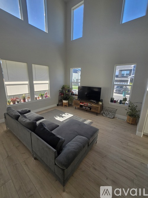 A living room with a grey sofa and a television.