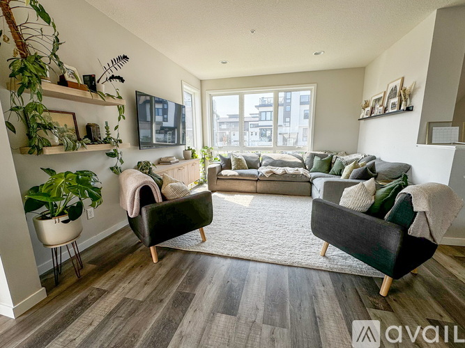 A living room with a grey couch and a green plant.