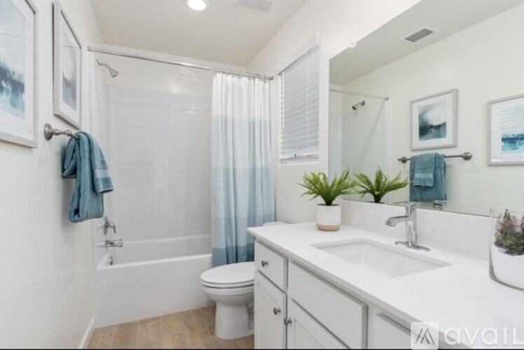 A bathroom with a white toilet, a white sink, a white bathtub with a blue shower curtain, and a white counter with a plant on it.