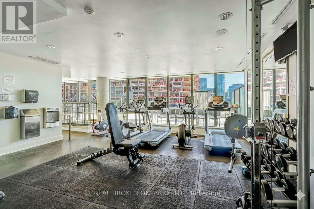 A gym with a variety of equipment including a bench press, a squat rack, and a treadmill.