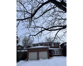 A house with a snow-covered ground and a tree branch in the foreground.