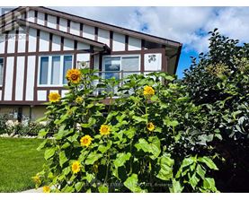Sunflowers in front of a house with a sign that says "REALTOR".