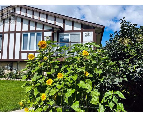 Sunflowers in front of a house with a sign that says "REALTOR".
