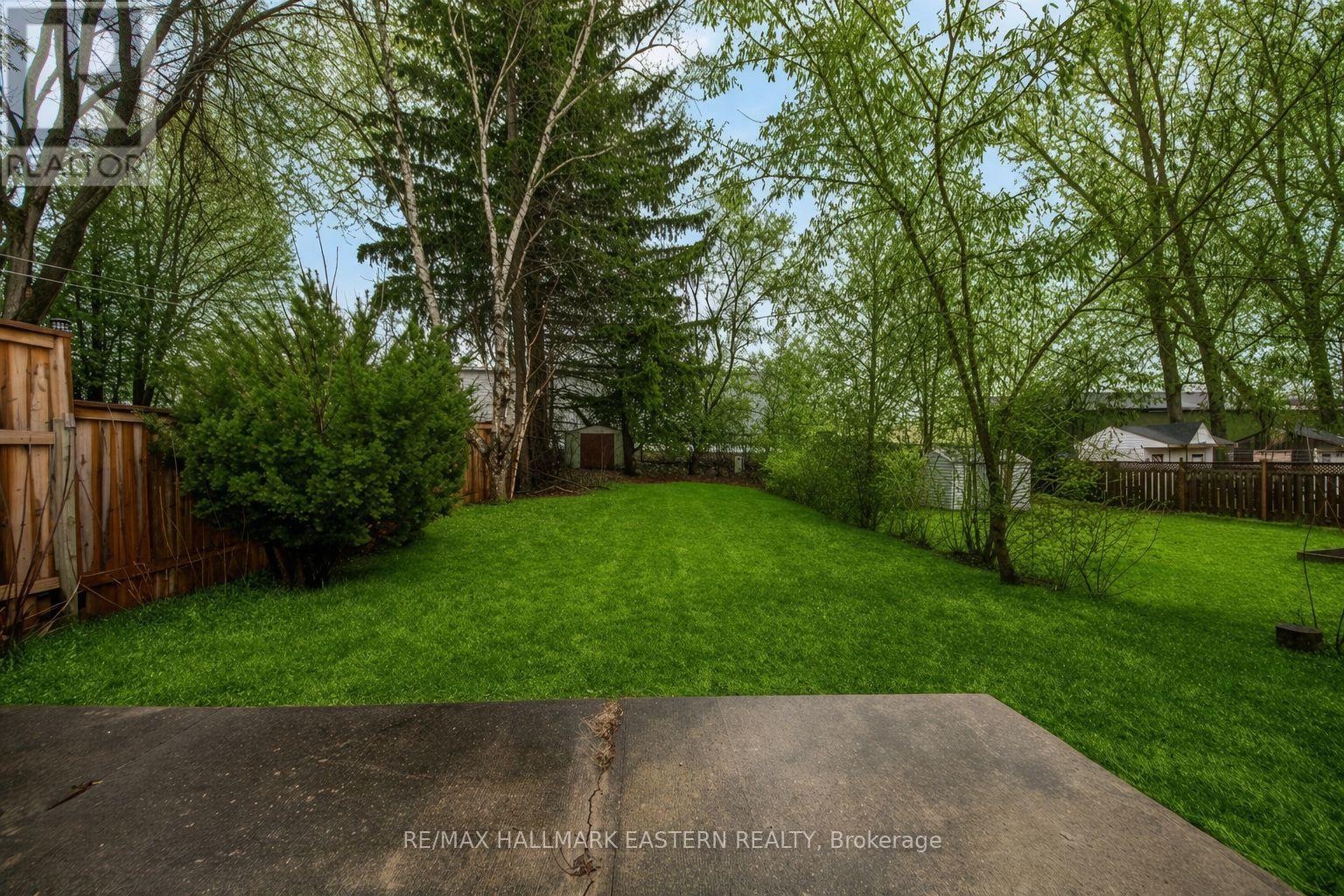 A backyard with a trampoline and trees.