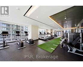 A gym with a variety of equipment including treadmills, weights, and a bench press.