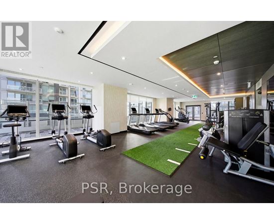 A gym with a variety of equipment including treadmills, weights, and a bench press.