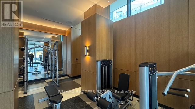 A gym with a variety of equipment including a squat rack, bench and weights.